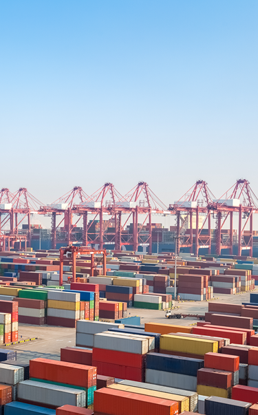 jebel ali free zone business setup in dubai